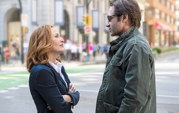 XF_sc7_0067rjw_hires2f